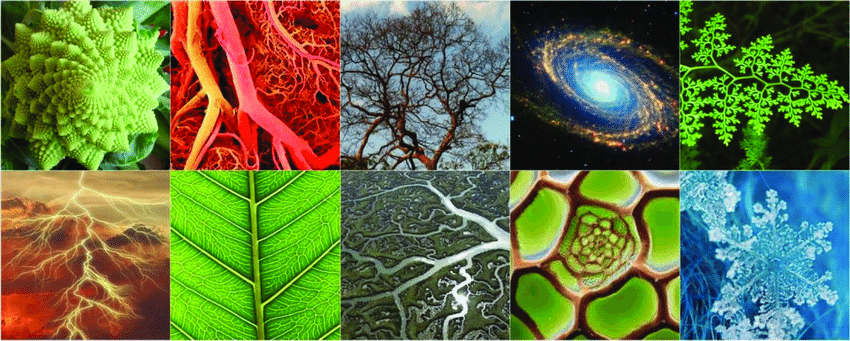 Fractal: Autossimilaridade ou Autossemelhança